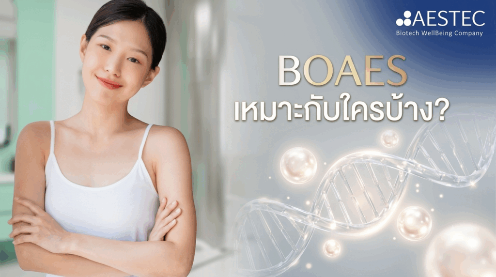 BOAES เหมาะกับใครบ้าง